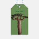 Search for baobab tree Green