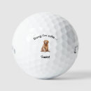 Search for golden retriever golf equipment Dog