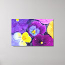 Search for dew canvas prints Bloom