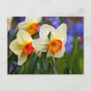 Search for the luminous postcards Garden