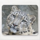 Search for jaguar mousepads Panther