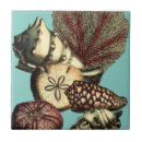 Recherche de corral carreaux Mer