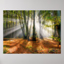 Search for misty trees posters Autumn