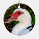 Search for white duck ornaments Animal