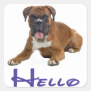 Search for boxer dog stickers Puppy