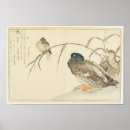Search for kingfisher posters Elegant
