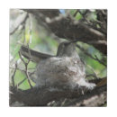 Recherche de nid d carreaux Nature