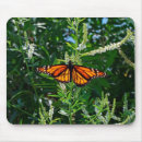 Search for monarch mousepads Nature