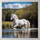 Search for blue run posters Horse