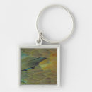 Search for surface keychains Nature