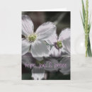 Search for peace joy and hope holiday cards Bible