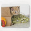 Recherche de bouteur tapis souris Humour