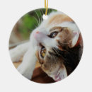 Search for calico kitten ornaments Pet