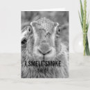 Recherche de lapin noir vœux cartes Humoristique