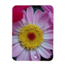 Search for big flower magnets Home décor