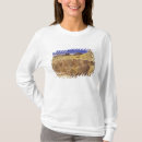 Search for death valley tshirts Brown