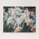 Search for daffodil puzzles Blossom