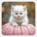 Search for autumn kitten stickers Feline