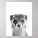 Recherche de weasels posters Broyer