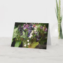 Recherche de muguet vœux cartes Bouquet