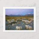 Recherche de filigranes cartes postales Pour tous