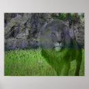 Recherche de gros chat posters Pour elle