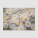 Search for white daisy tissue paper Garden