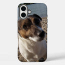 Recherche de jack russell iphone coques Dog