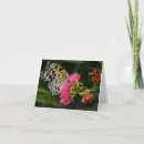 Search for single flower cards Nature