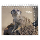 Search for meerkat calendars Animal