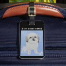 Search for maltese shih tzu Malshi