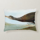 Recherche de audubon coussins Illustration d'oiseau