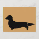 Recherche de teckels cartes postales Doxie
