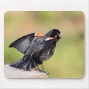 Search for sing mousepads Nature