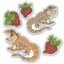 Search for dragon fruit stickers Cute