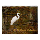 Search for egret Great egret