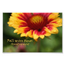 Search for imagery art Photography