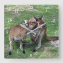 Recherche de kangourou horloges Animaux