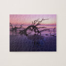 Recherche de puits puzzles Côte