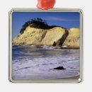 Search for coast ornaments Scenic