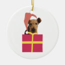 Search for airedale ornaments dog