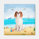 Recherche de cavaliers magnets Animal