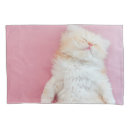 Search for fluffy pillowcases Kitten