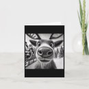 Search for funny sleigh christmas cards Elf
