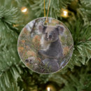 Search for koala bear ornaments Wildlife