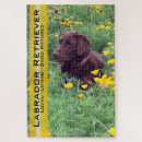 Recherche de brun chocolat puzzles Labrador