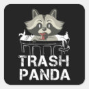 Recherche de racoon stickers Rétro