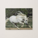 Recherche de cheval course puzzles Étalon
