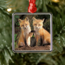 Search for red fox ornaments Vulpes vulpes