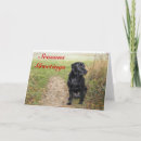 Recherche de labrador noir vœux cartes Hiver